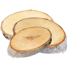 Deko Holz Scheiben Birke in verschiedenen Größen 1Stück ca. 2cm dick Basteln neu