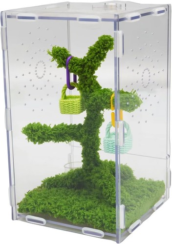 Springspinnen acryl terrarium - springspinnen,