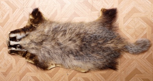 Schönes dachsfell badger fur - schönes,