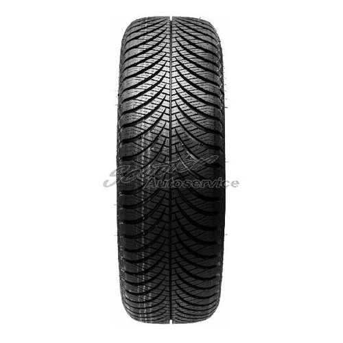 Goodyear vector seasons - vector, g-2