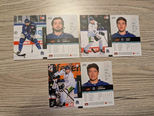 Del playercards 2025 2026 - del, 2025/2026
