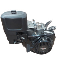 Briggs & Stratton Standmotor