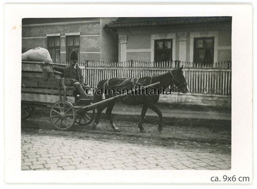 Orig foto rumänische bauer - rumänische,