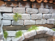 Terrarien 100 gemischte