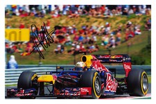 Sebastian Vettel 20x30 cm