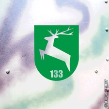 Sticker/Decal PzGrenBtl 133