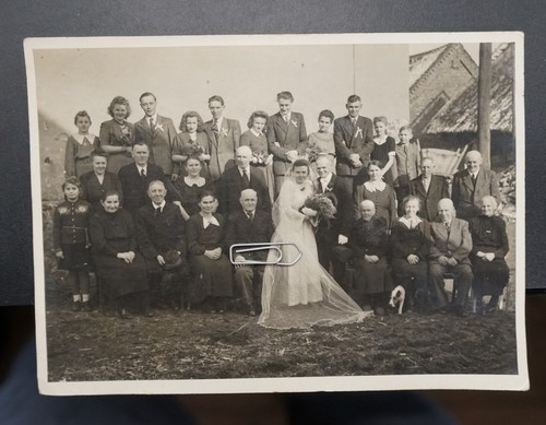 Foto portrait hochzeitsbild - foto,