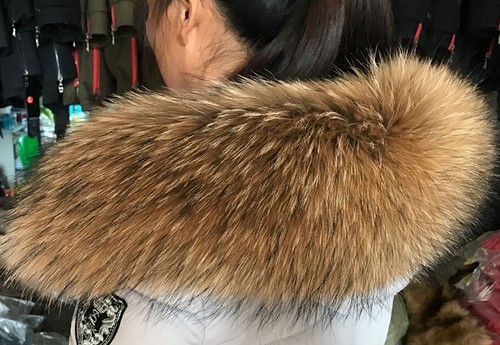 Waschbär xxl kragen - waschbär,