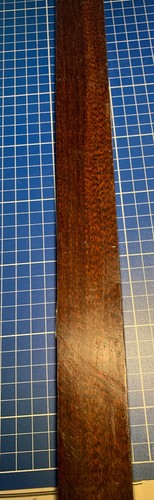 Schlangenholz snakewood ca - |,