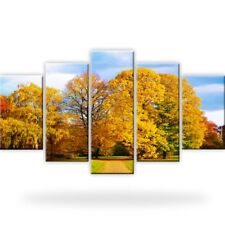 Park Wald Herbst Leinwandbilder Fotodruck Mehrteilig