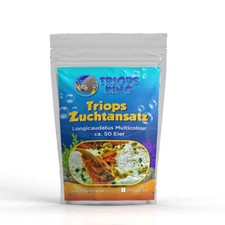 Triops longicaudatus - triops,