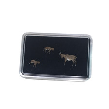 Female ibex with young - Van