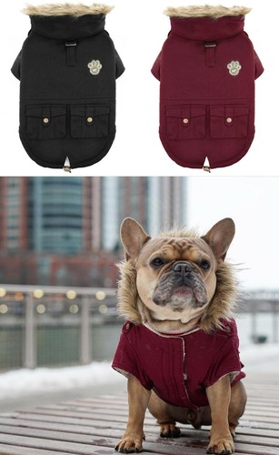 Canada pooch alaskan army - pooch,