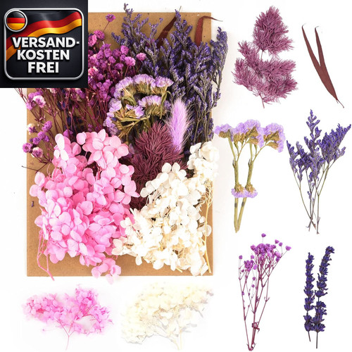 Getrocknete blumen - getrocknete,