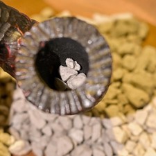 Alternative zu Nording 100%