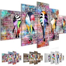 Wandbilder Set Zebra Bild für