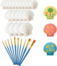 20 Stück Muscheln Zum