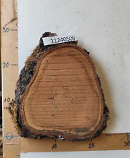 Baumscheibe, ca.20-40mm Dicke, Holz, Brett, Bohle, Deko, Schwartenbrett, Rinde,