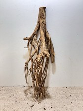 Talawa Wurzel XXL ähnlich