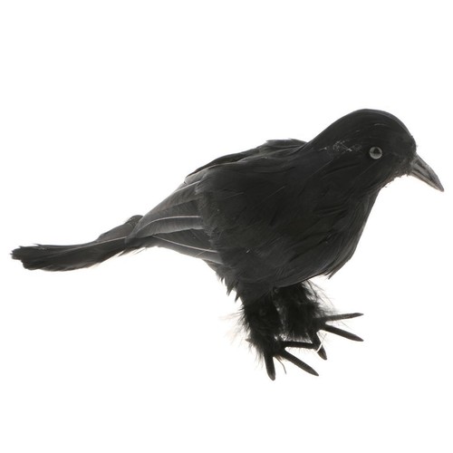 Taubenschreck vogelschreck - taubenschreck,