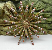 Dekorative Steinkoralle für