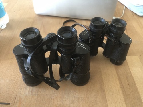 Fernglas ferngläser sehfeld - fernglas,