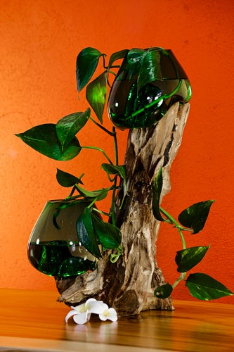 Deko glas auf - deko, grün
