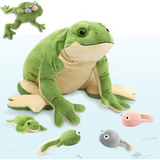 MorisMos 52cm lang Frosch