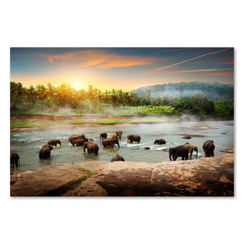 Postereck 2765 poster - 2765,