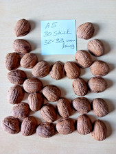 30 Walnuss Schalen Hälften 32-33 mm Bio A5