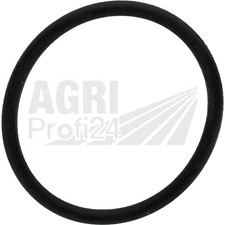 O-Ring Membran-Förderpumpe