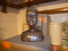 Wunderschöne afrikanische