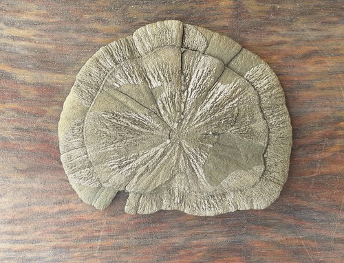 Mineralien pyritsonne - mineralien:,