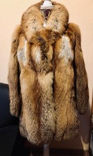  Echte Rotfuchsjacke, Größe