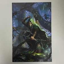 Holz Elfen Waywatcher Kunst Bild Poster Warhammer Alter Of Sigmar die Alte Welt