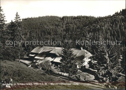 Feldberg schwarzwald - feldberg,