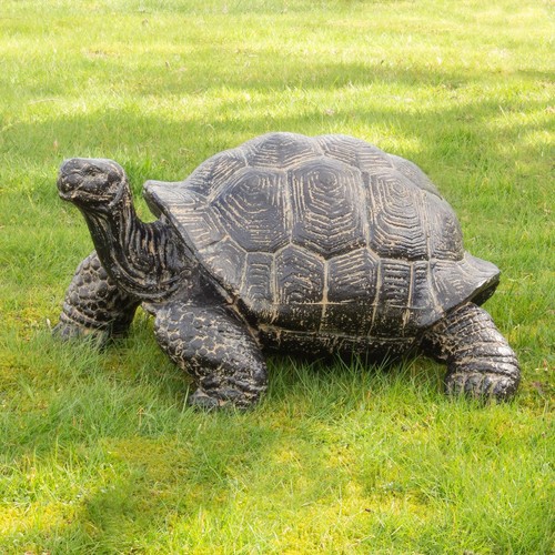 Schildkröte schildkröten - schildkröte,
