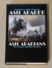 Arabiens edle pferde asil - arabiens,