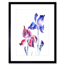 Blumen violette iris - blumen,