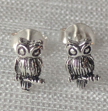 Eulen Ohrstecker 925-Silber -