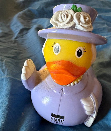 Nrc group badeente - nrc,