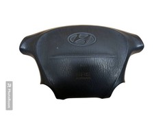 Hyundai H-1, Starex, Satellite