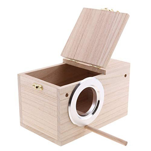 Vogel sitzstange halter holz - halter,