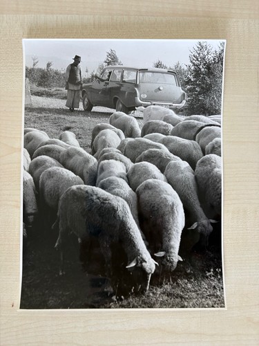 Alte fotos oldtimer pressefoto - oldtimer,