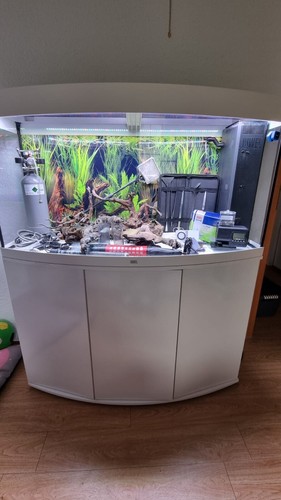 aquarium