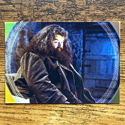 Panini harry potter magical - panini,