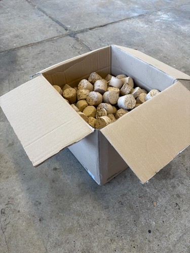 Holzbriketts aus schreinerei - aus,