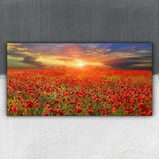 Sonnenuntergang über dem
