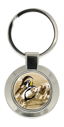 Greyhound rennen - greyhound,