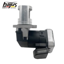 OriginaHajus AGR-Ventil